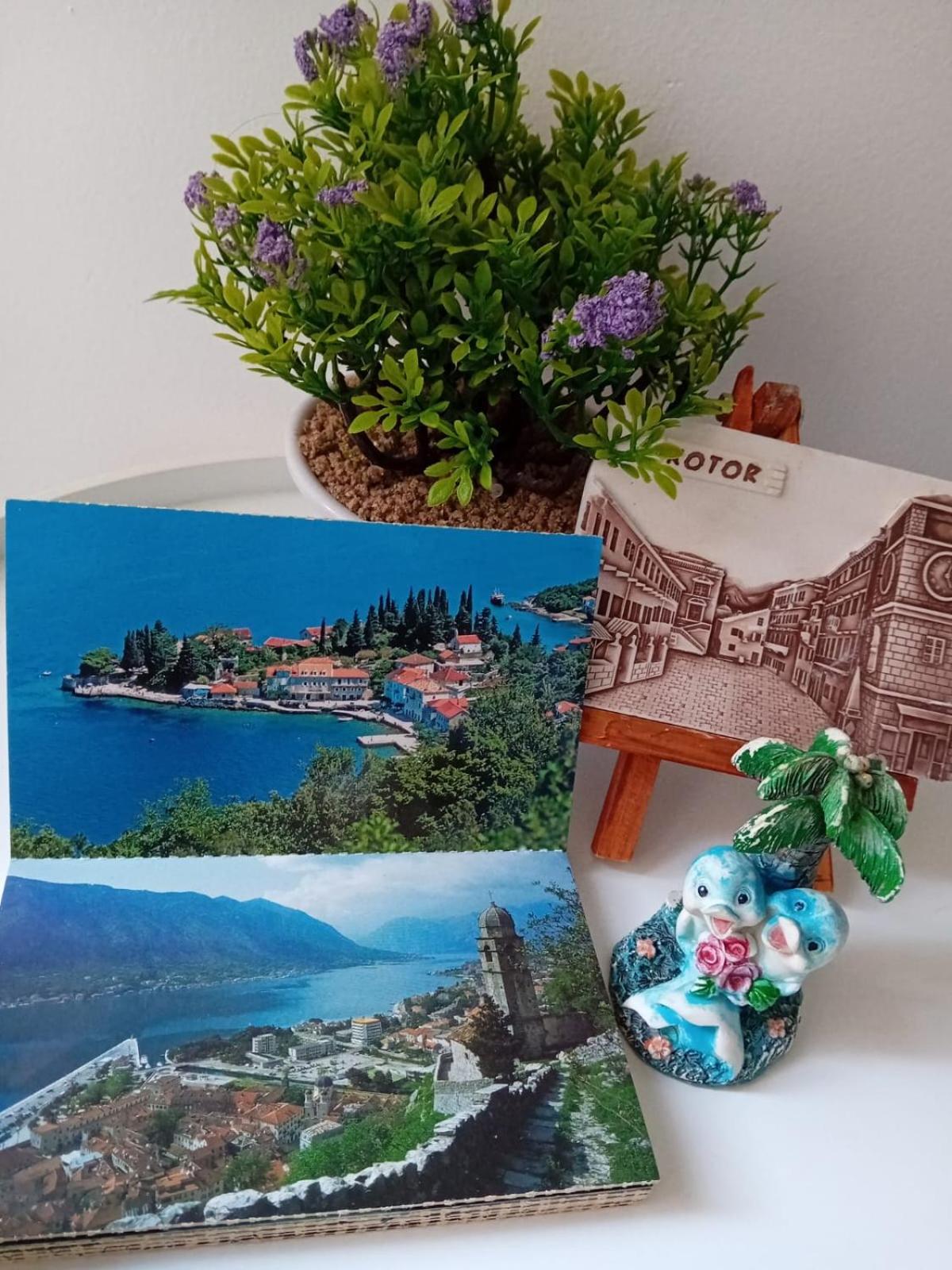 Apartment Maki Kotor Exteriér fotografie
